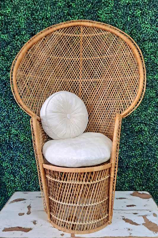 Peacock wicker chair