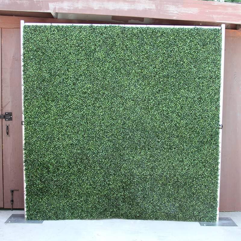 Boxwood Wall Backdrop